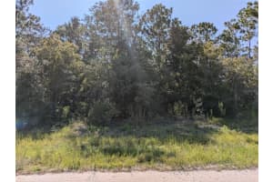 TBD 136TH AVENUE, OCALA, FL 34481 Sold 05/08/25