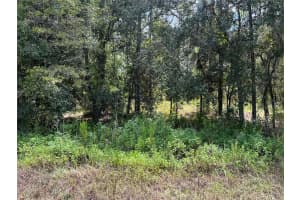 0 SW 80TH STREET, DUNNELLON, FL 34432 Sold 10/02/24