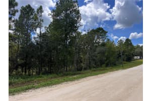 0 SW 80TH STREET, DUNNELLON, FL 34432 Sold 10/02/24