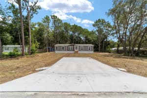 13131 17TH STREET ROAD, OCALA, FL 34481 Sold 12/30/24