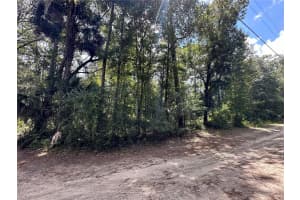 TBD 166 STREET, FORT MC COY, FL 32134 Sold 08/15/25