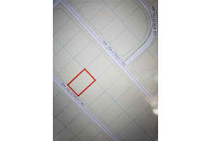 00 165TH ST ROAD, OCALA, FL 34473 Sold 10/01/24