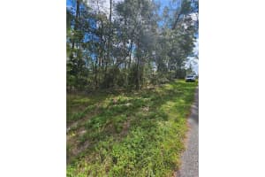 00 165TH ST ROAD, OCALA, FL 34473 Sold 10/01/24