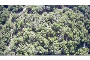 1105 CONSTITUTION WAY, INVERNESS, FL 34453 - MLS#MFROM685125