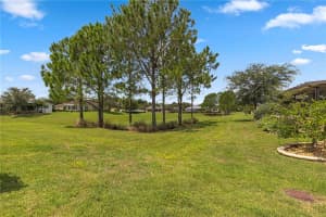 9674 95TH LOOP, OCALA, FL 34481 Sold 11/01/24