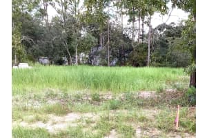 MLS# MFROM685138, Ocala, Florida 34473
