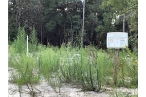 MLS# MFROM685138, Ocala, Florida 34473