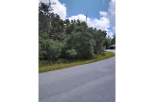 0 HOLLY RUN, OCALA, FL 34472 Sold 09/27/24