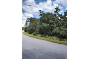 0 HOLLY RUN, OCALA, FL 34472 Sold 09/27/24