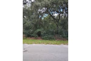 0 HOLLY RUN, OCALA, FL 34472 Sold 09/27/24