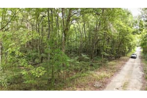 SW 14TH ST, OCALA, FL 34481 - MLS#MFROM685324
