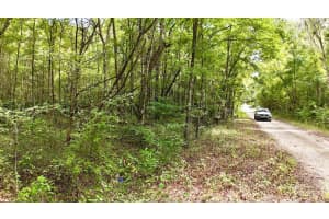 SW 14TH ST, OCALA, FL 34481 - MLS#MFROM685324