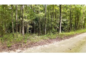 SW 14TH ST, OCALA, FL 34481 - MLS#MFROM685324