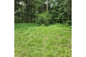 7617 36TH AVENUE, OCALA, FL 34480 Sold 12/12/24
