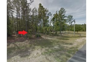 SW 61ST PLACE RD, OCALA, FL 34481 Sold 01/31/25