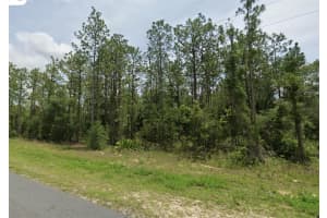 SW 61ST PLACE RD, OCALA, FL 34481 Sold 01/31/25