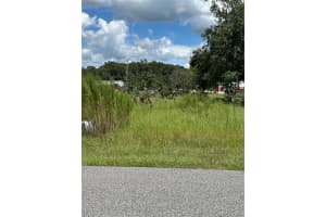 1051 PAUL DRIVE, INVERNESS, FL 34453 - MLS#MFROM685506