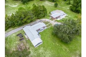 6050 131ST AVENUE, WILLISTON, FL 32696 Sold 12/31/24