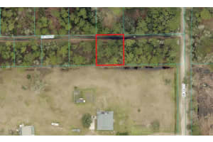 14174 155TH STREET, FORT MC COY, FL 32134 Sold 03/03/25