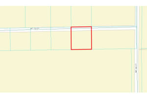 14174 155TH STREET, FORT MC COY, FL 32134 Sold 03/03/25