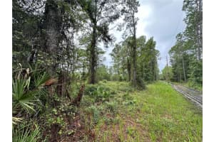 TBD 155TH STREET, FORT MC COY, FL 32134 Sold 08/15/25