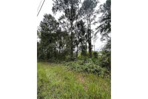 TBD 155TH STREET, FORT MC COY, FL 32134 Sold 08/15/25