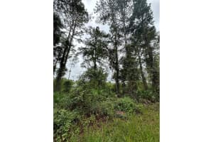TBD 155TH STREET, FORT MC COY, FL 32134 Sold 08/15/25