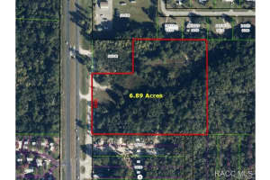 711 SUNCOAST BOULEVARD, HOMOSASSA, FL 34448 - MLS#MFROM685775