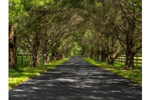 15607 47TH AVENUE, SUMMERFIELD, FL 34491 Sold 05/09/25