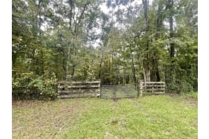 18668 146TH AVENUE, WILLISTON, FL 32696 Sold 02/28/25