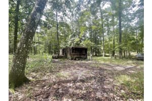 18668 146TH AVENUE, WILLISTON, FL 32696 Sold 02/28/25