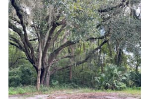 7665 185TH TERRACE, WILLISTON, FL 32696 Sold 02/04/25