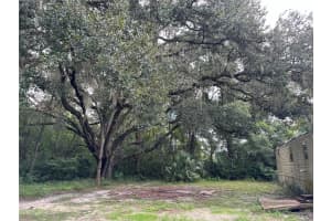 7665 185TH TERRACE, WILLISTON, FL 32696 Sold 02/04/25