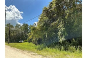 14040 RUFFED GROUSE ROAD, WEEKI WACHEE, FL 34614 Sold 10/03/24