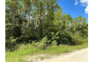 14040 RUFFED GROUSE ROAD, WEEKI WACHEE, FL 34614 Sold 10/03/24