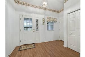 1009 DEL MAR DRIVE, THE VILLAGES, FL 32159 Sold 02/06/25