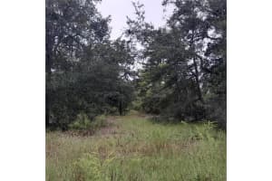 1090 128TH AVENUE, WILLISTON, FL 32696 Sold 01/07/25