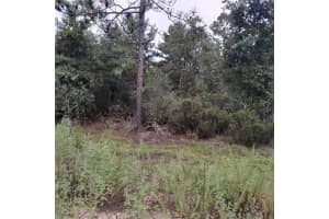 1090 128TH AVENUE, WILLISTON, FL 32696 Sold 01/07/25
