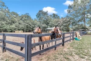 2001 80TH AVENUE, OCALA, FL 34481 Sold 02/14/25