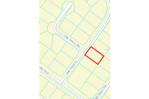00 PINE TRACE PLACE, OCALA, FL 34472 Sold 02/21/25