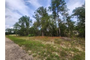 9931 & 9913 SWANEE TERRACE, DUNNELLON, FL 34433 Sold 10/16/24