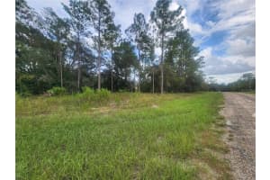 9931 & 9913 SWANEE TERRACE, DUNNELLON, FL 34433 Sold 10/16/24