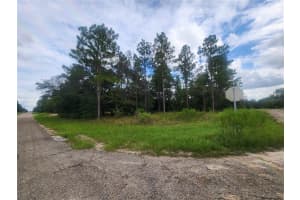 9931 & 9913 SWANEE TERRACE, DUNNELLON, FL 34433 Sold 10/16/24