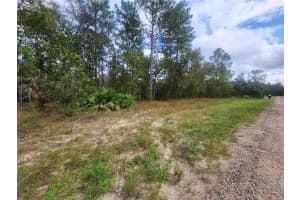9931 & 9913 SWANEE TERRACE, DUNNELLON, FL 34433 Sold 10/16/24