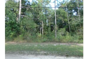 1665 140TH COURT, OCALA, FL 34481 Sold 12/02/24