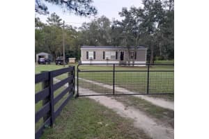 1031 129TH AVENUE, WILLISTON, FL 32696 Sold 02/27/25