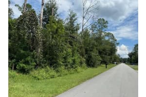 Lot 20,21,22 PEACH BLOSSOM STREET, DUNNELLON, FL 34431 Sold 04/07/25
