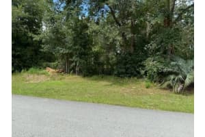 Lot 20,21,22 PEACH BLOSSOM STREET, DUNNELLON, FL 34431 Sold 04/07/25