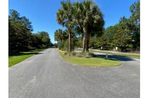 TBD 142 STREET, WILLISTON, FL 32696 Sold 04/17/25