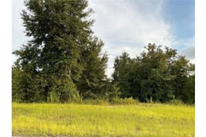 SW 138TH LN, OCALA, FL 34473 Sold 10/24/24